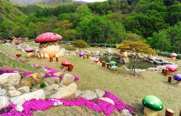 양구수목원 배경 이미지