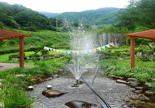 양구수목원 배경 이미지