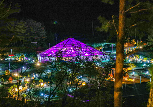 양구수목원 배경 이미지