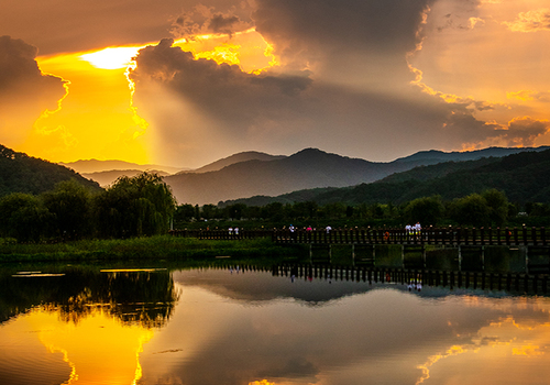 양구수목원 배경 이미지