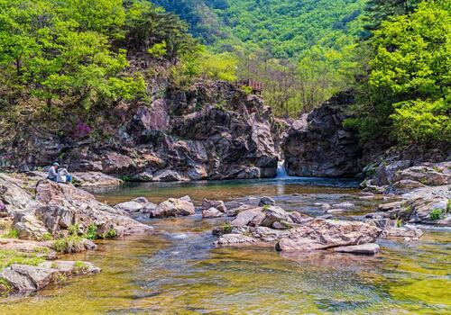 양구수목원 배경 이미지