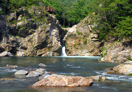 양구수목원 배경 이미지