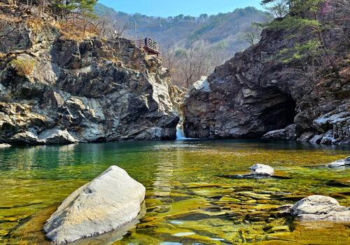 양구수목원 배경 이미지