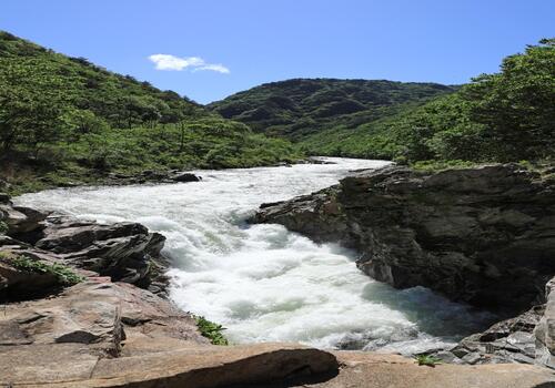 양구수목원 배경 이미지