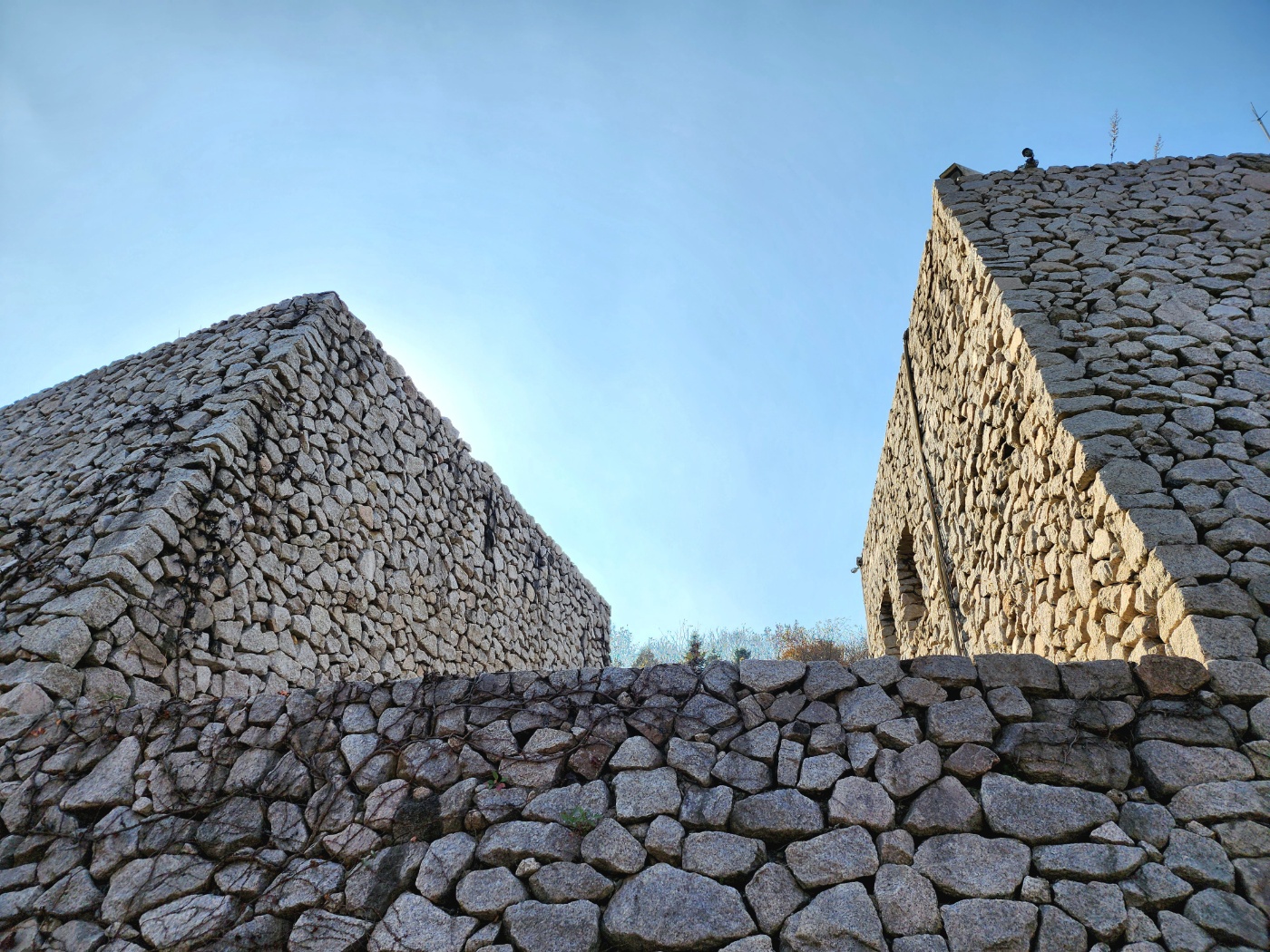 양구수목원 배경 이미지