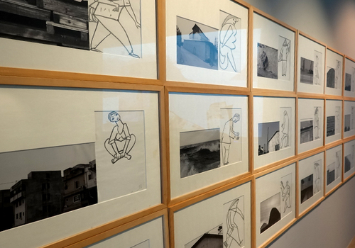 양구수목원 배경 이미지