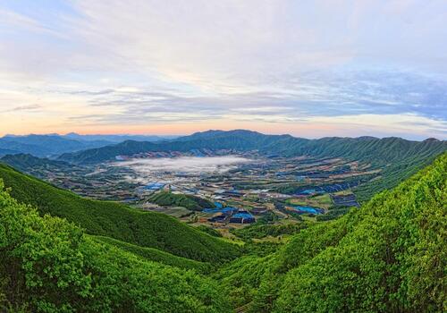양구수목원 배경 이미지