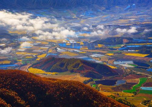 양구수목원 배경 이미지