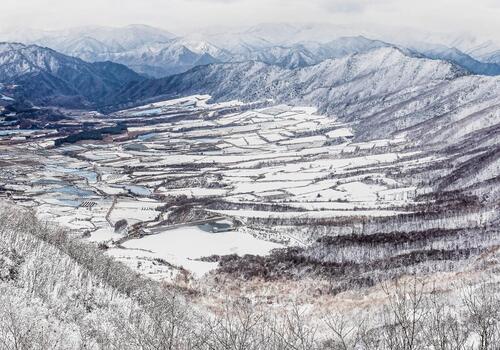 양구수목원 배경 이미지