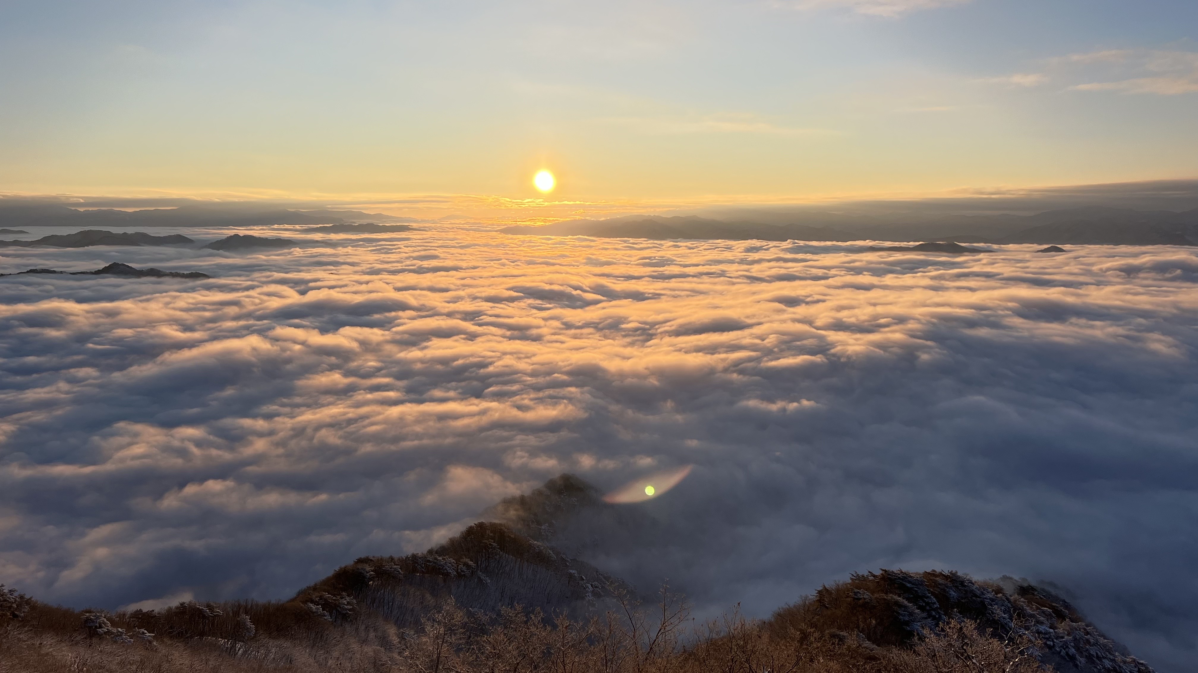 양구수목원 배경 이미지
