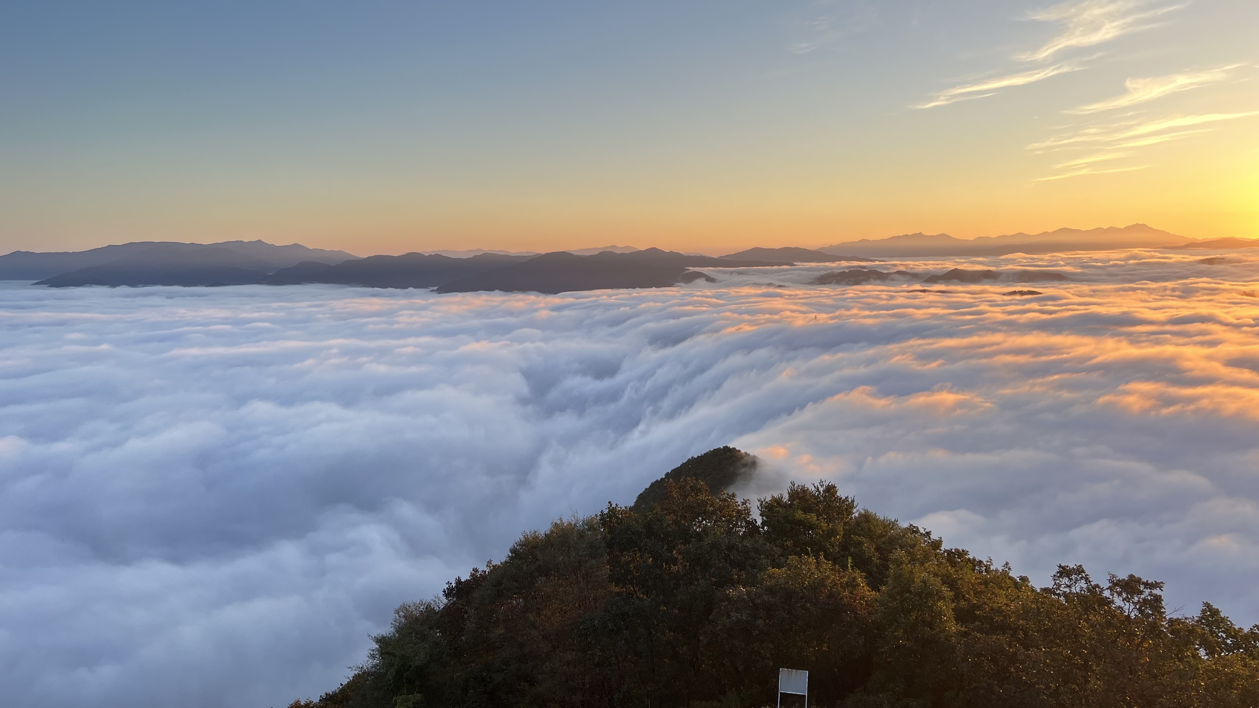 양구수목원 배경 이미지