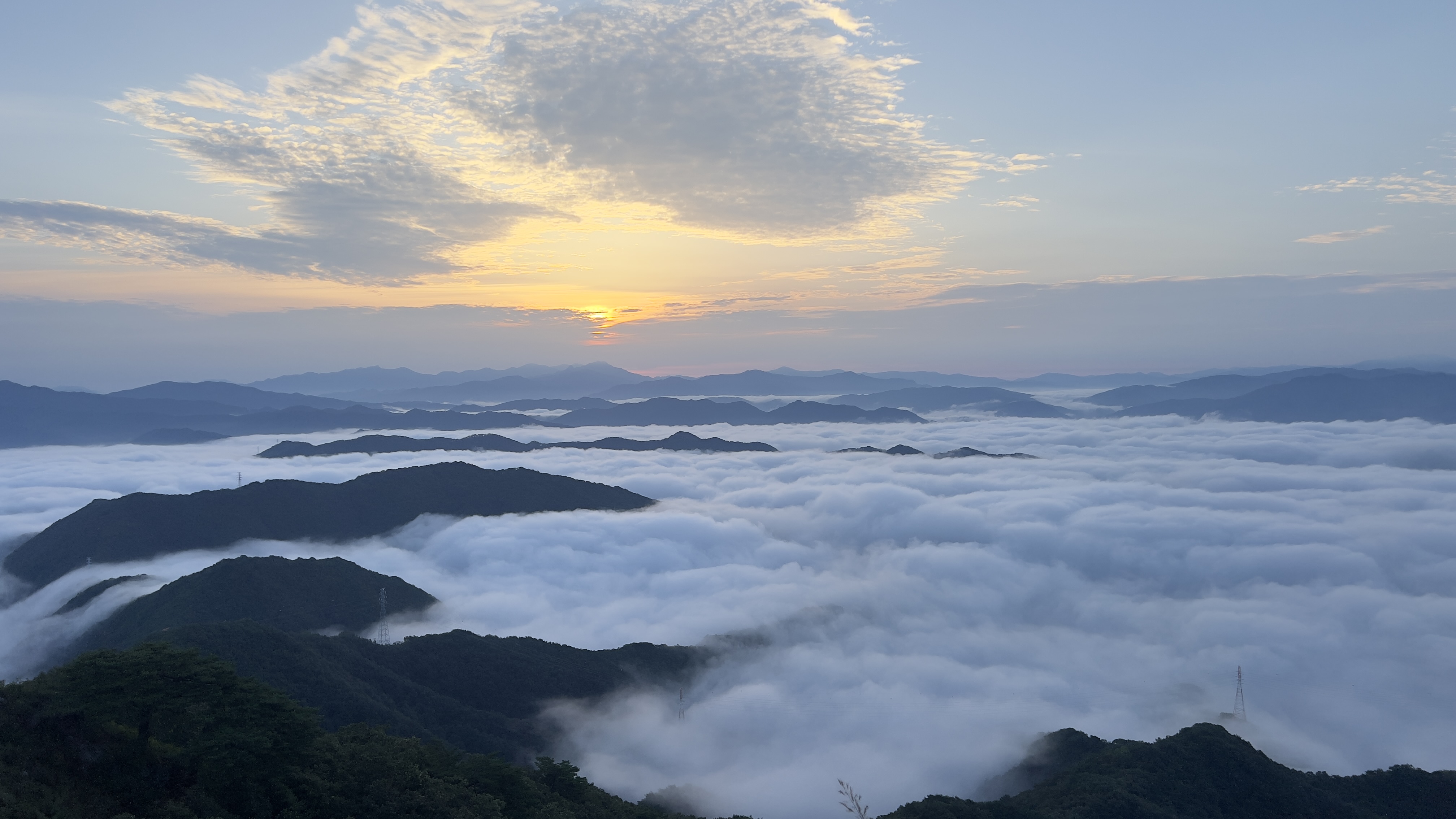 양구수목원 배경 이미지